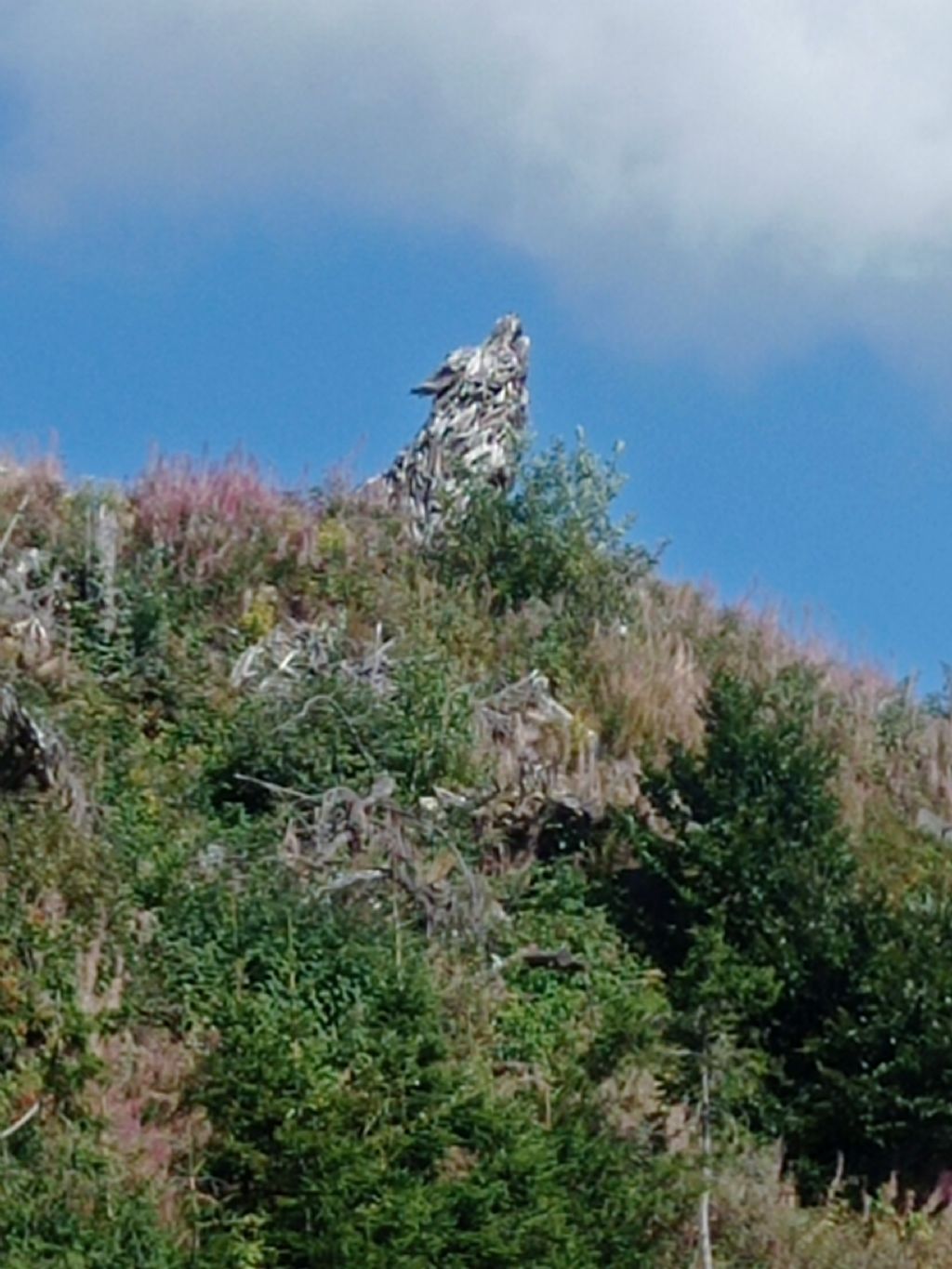 Tutte le sculture di Marco Martalar.....in Trentino